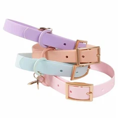 Hundehalsbånd av PVC